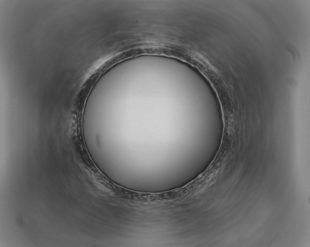 X0000113151208200909181743