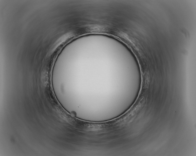 X0000113151211200909181743