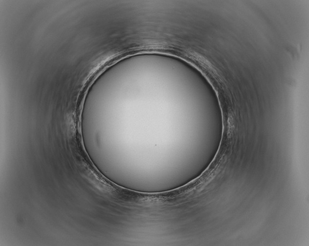 X0000113151212200909181743