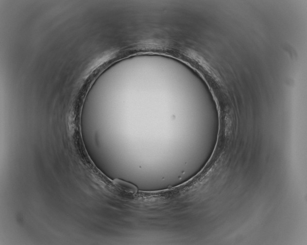 X0000113151213200909181743