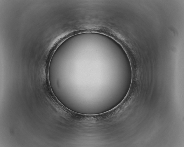 X0000113151214200909181743