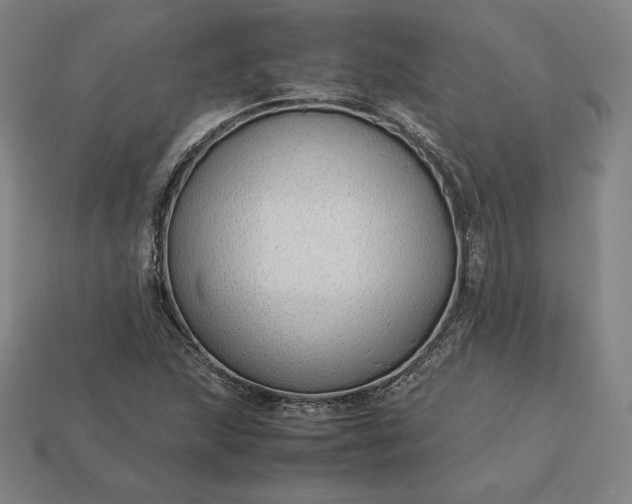 X0000113151215200909181743