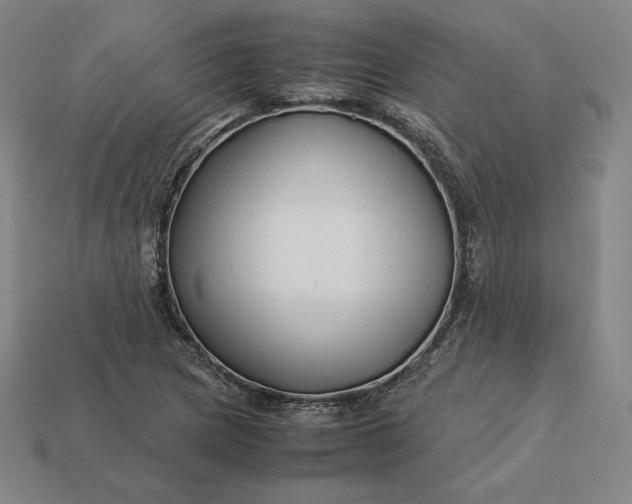 X0000113151217200909181743