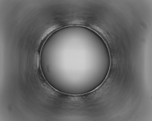 X0000113151219200909181743