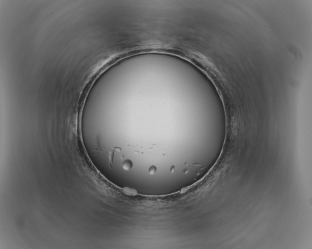 X0000113151220200909181743