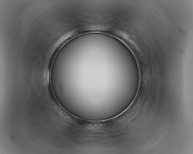 X0000113151221200909181743