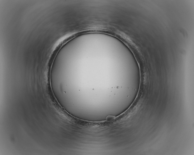 X0000113151222200909181743