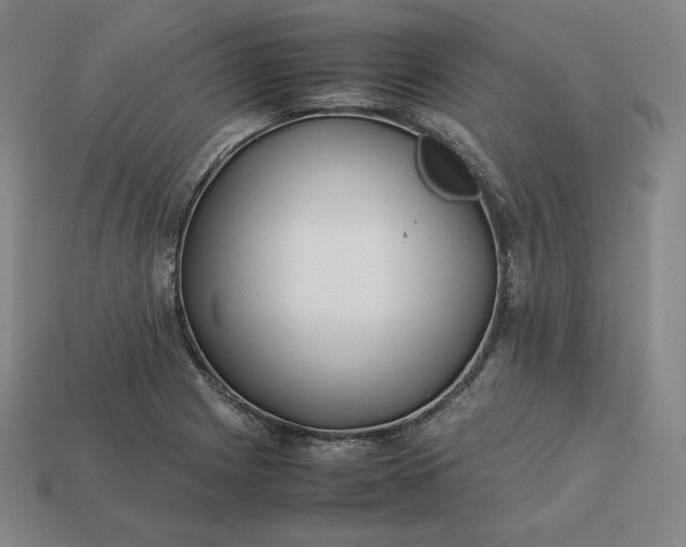 X0000113151225200909181743