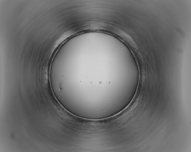 X0000113151226200909181744