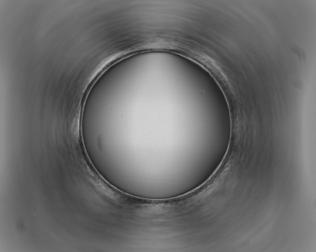 X0000113151228200909181744