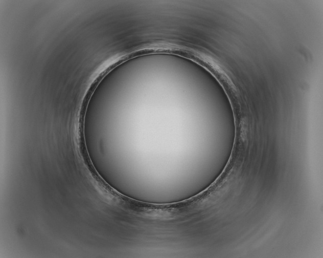 X0000113151229200909181744