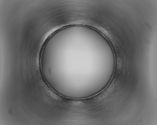 X0000113151230200909181744