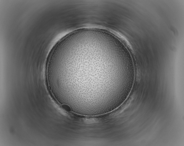 X0000113151231200909181744