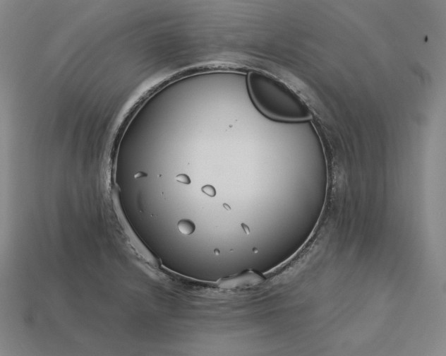 X0000113151232200909181744