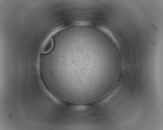 X0000113151235200909181744