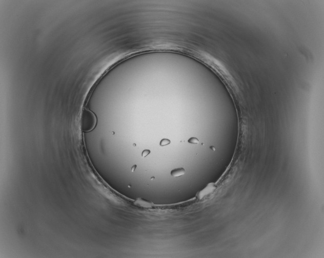 X0000113151236200909181744