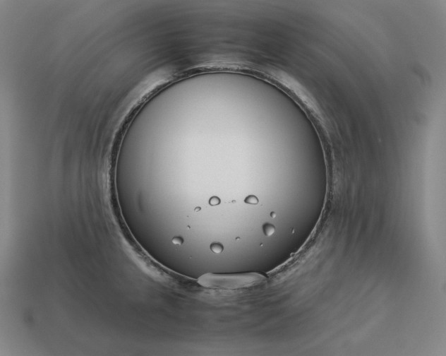 X0000113151237200909181744