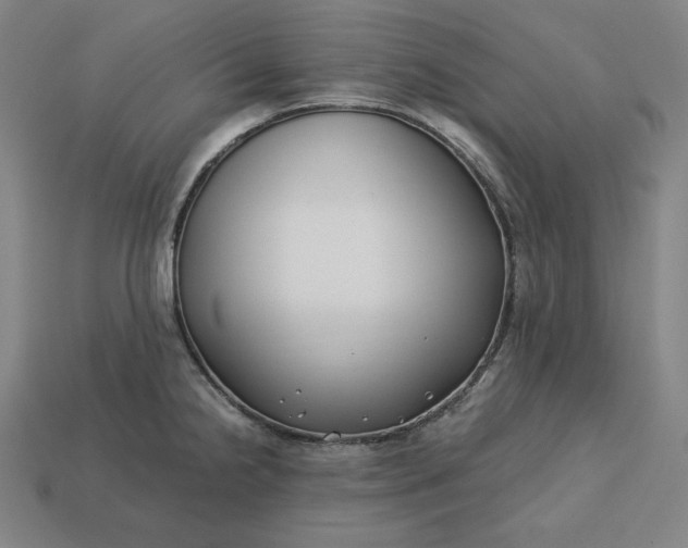 X0000113151238200909181744