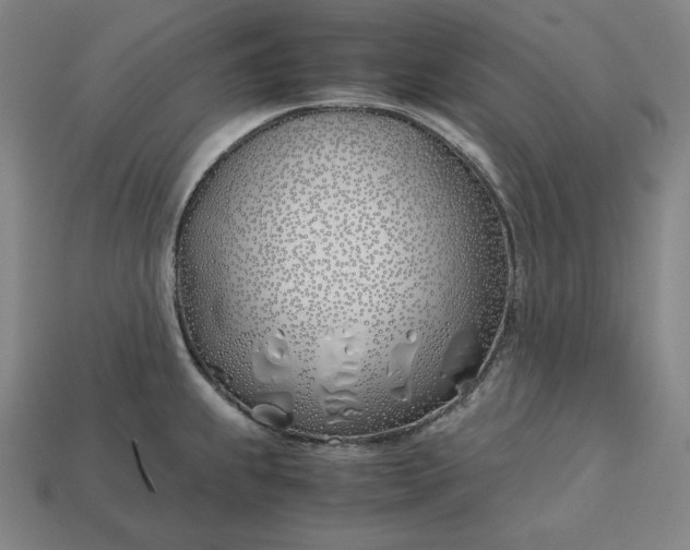 X0000113151239200909181744