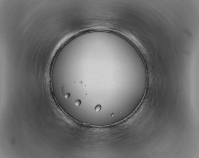 X0000113151240200909181744