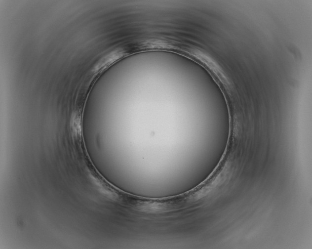 X0000113151241200909181744