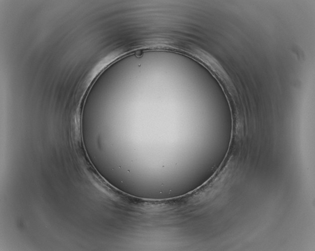 X0000113151242200909181744