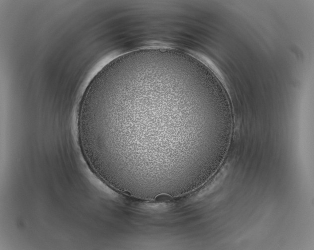 X0000113151243200909181744