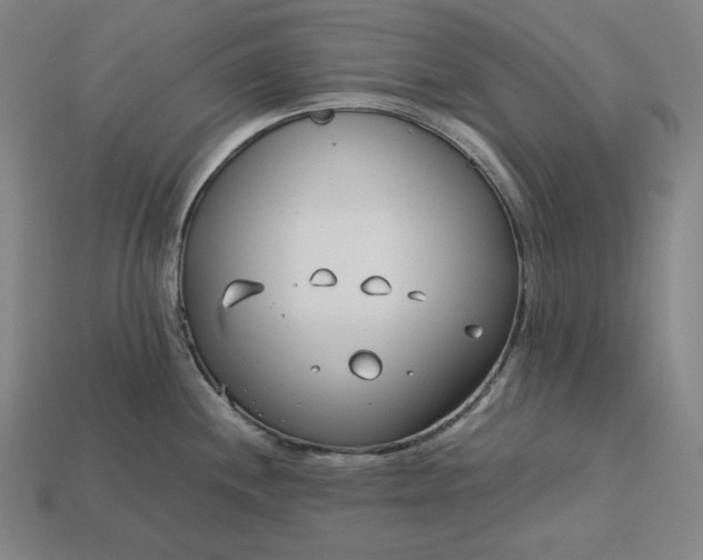 X0000113151244200909181744