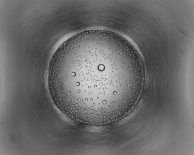 X0000113151245200909181744