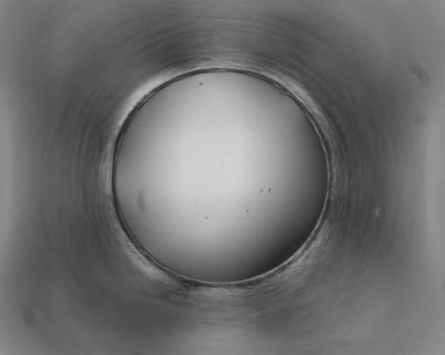 X0000113151246200909181744