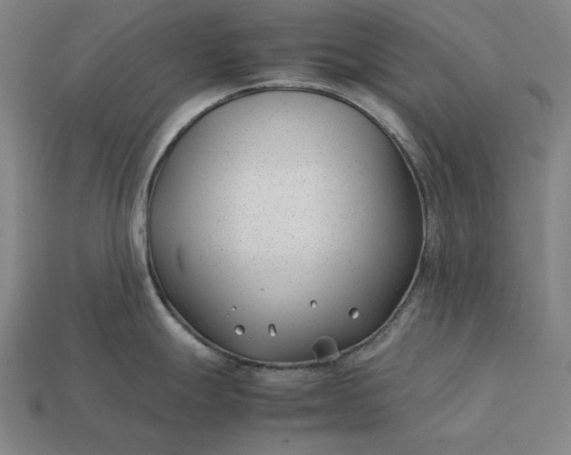 X0000113151247200909181744