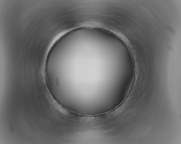 X0000113151248200909181744