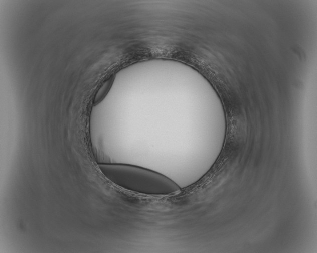 X0000113151249200909181743