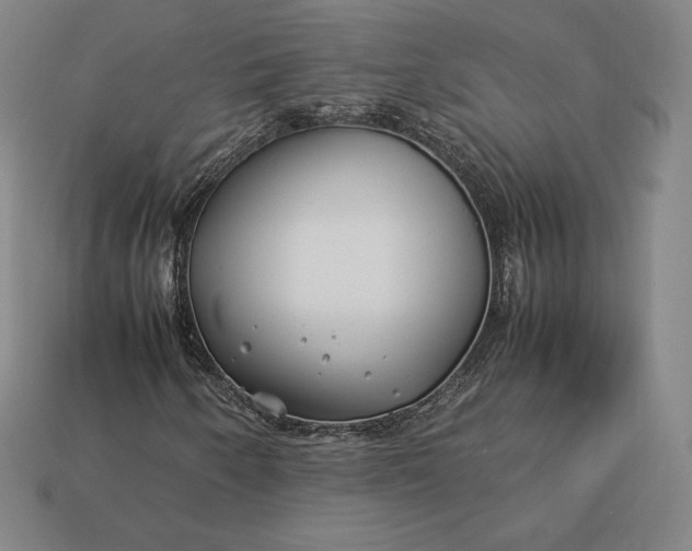 X0000113151250200909181743