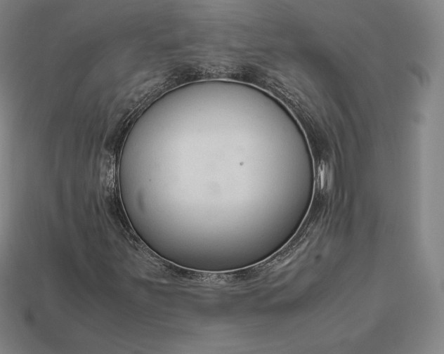 X0000113151251200909181743