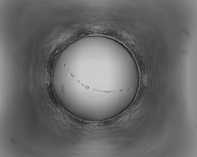 X0000113151253200909181743