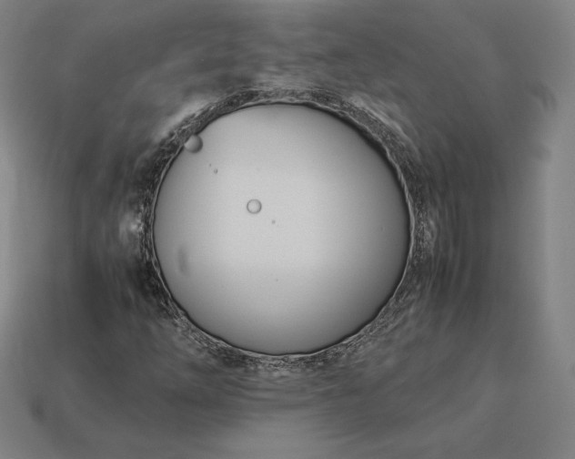 X0000113151254200909181743