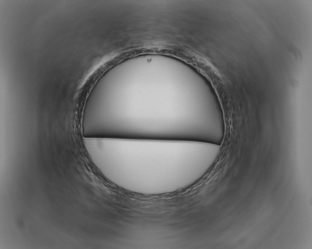 X0000113151256200909181743