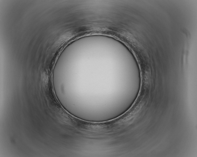 X0000113151257200909181743