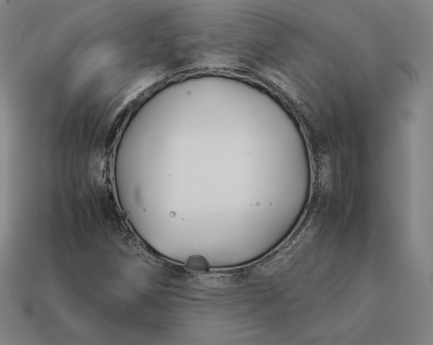 X0000113151258200909181743