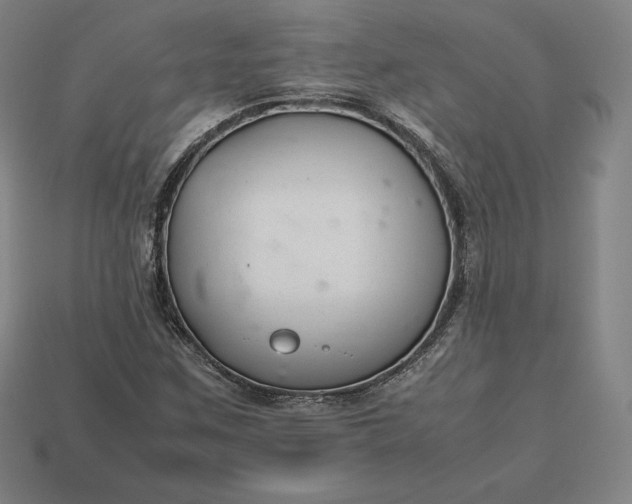 X0000113151259200909181743