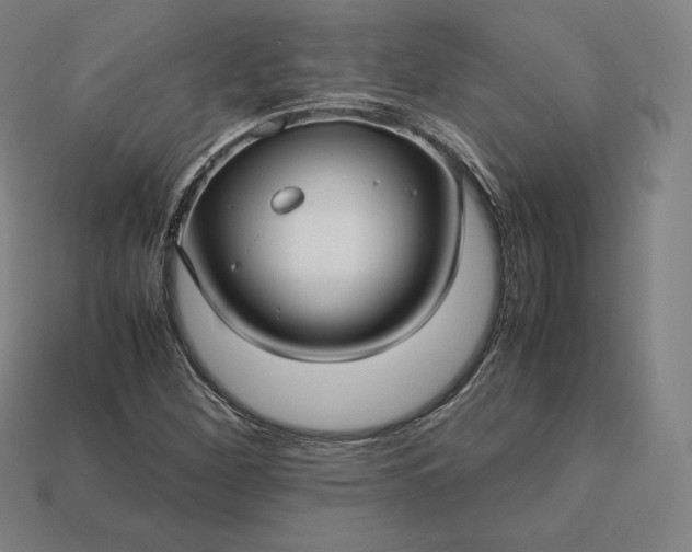 X0000113151260200909181743