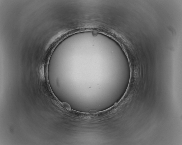 X0000113151262200909181743