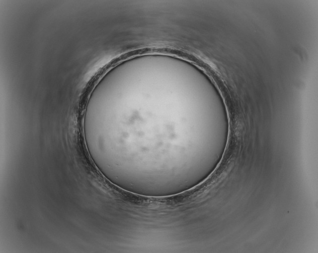 X0000113151263200909181743