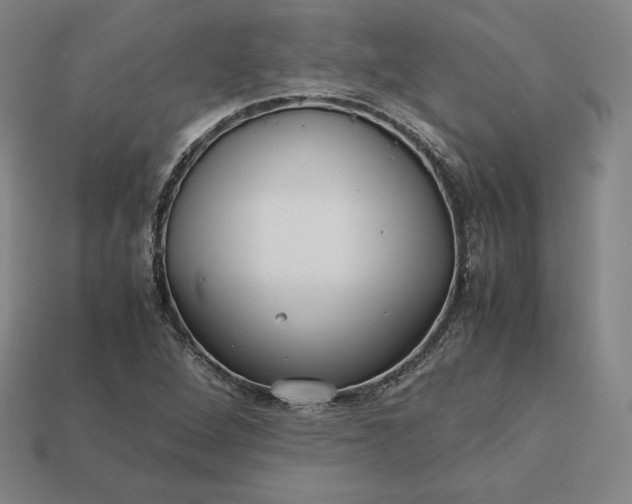 X0000113151264200909181743