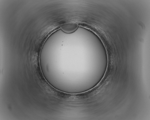 X0000113151265200909181743