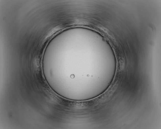 X0000113151266200909181743