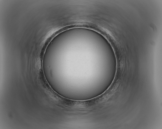 X0000113151267200909181743