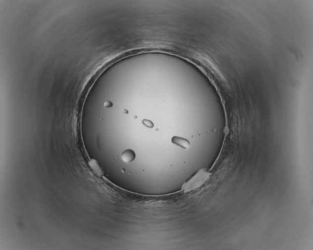 X0000113151268200909181743