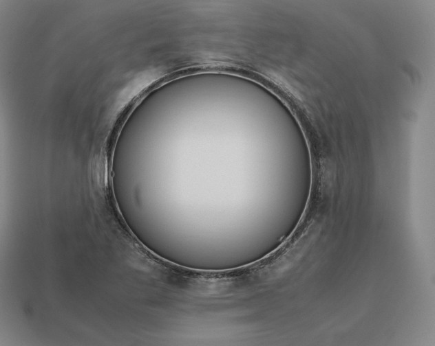 X0000113151269200909181743